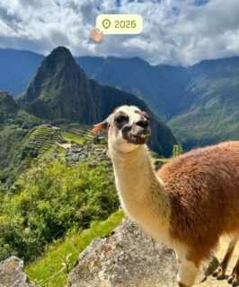 Thank you to everyone who shared their erasmus memories and adventures with us in 2025🌍✨ We loved being part of your journey! Don’t forget to keep tagging us in 2026 as well, wherever erasmus takes you next.❤️

 Here’s to more memories, travels, and stories together🥂

#happynewyear #2025 #thankyou #studyabroad #erasmus